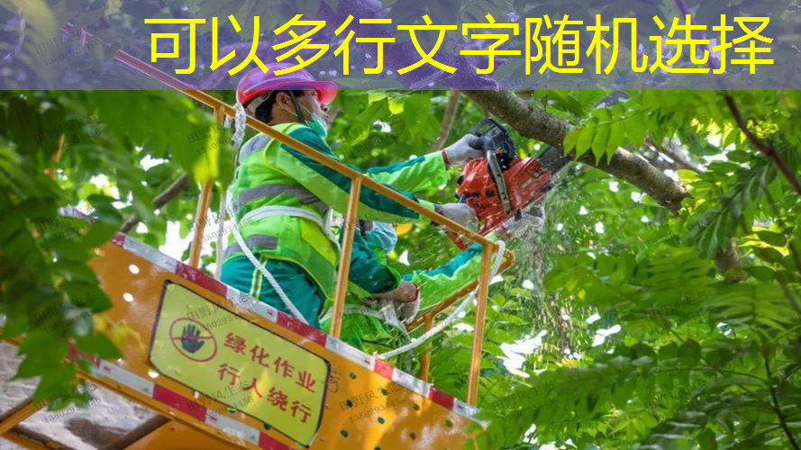 jn江南·体育登录入口，正品成人红双喜网球拍价格