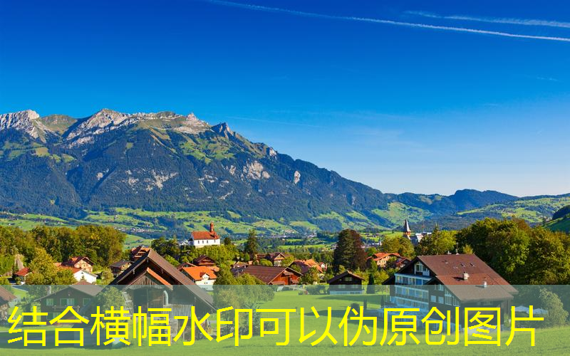 网球拍双十一会降价吗_