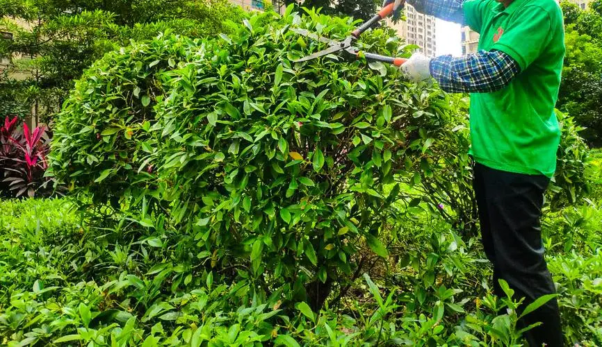 jn江南·体育登录入口，体育工程如何提高运动场地的网络和通信设施？