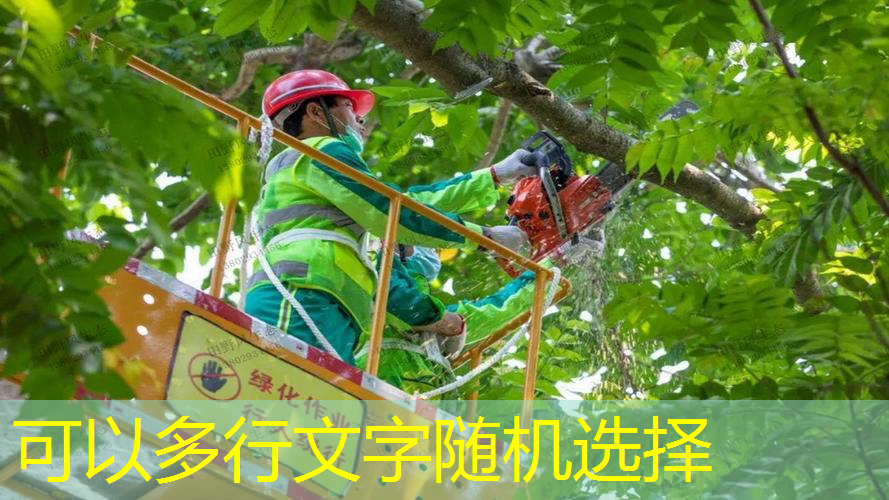 JN江南·体育，单杠攀爬绝技：体验不一样的单杠动作装置！