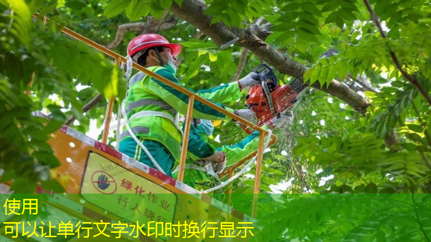 标准网球拍长宽尺寸图表