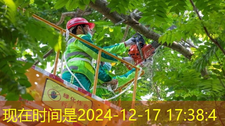 网球拍尼龙线要换吗_