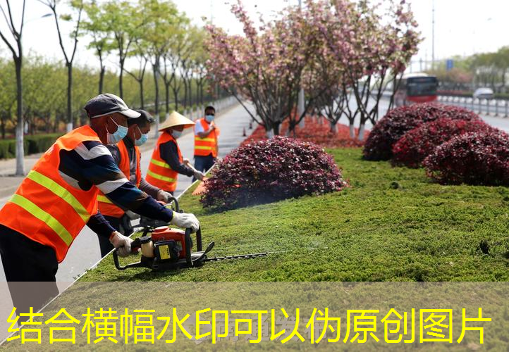 海德网球拍纪念款测评分析