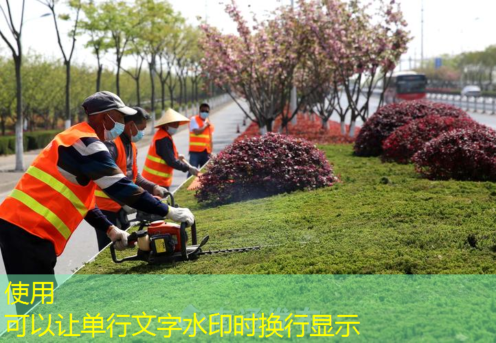 空网球拍295是女拍吗_