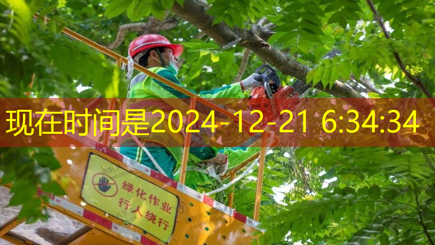川崎网球拍价格表