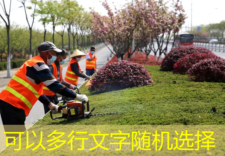 板式网球拍的作用与用途