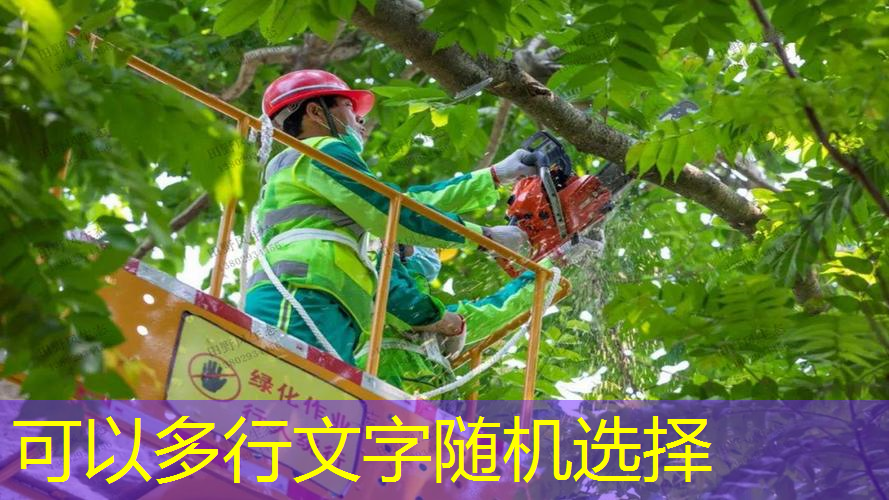 亲子网球拍怎么玩教程图解