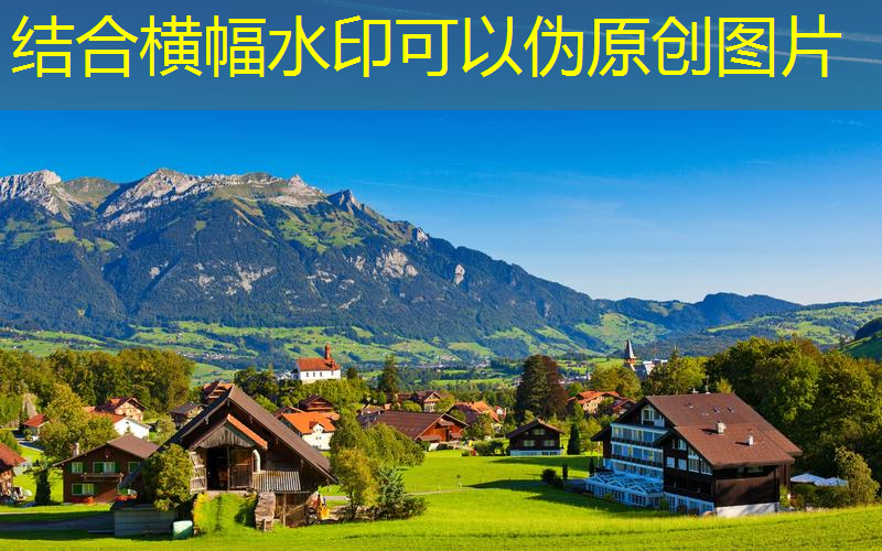 什么网球拍好用又便宜