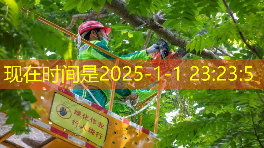 正品成人红双喜网球拍价格