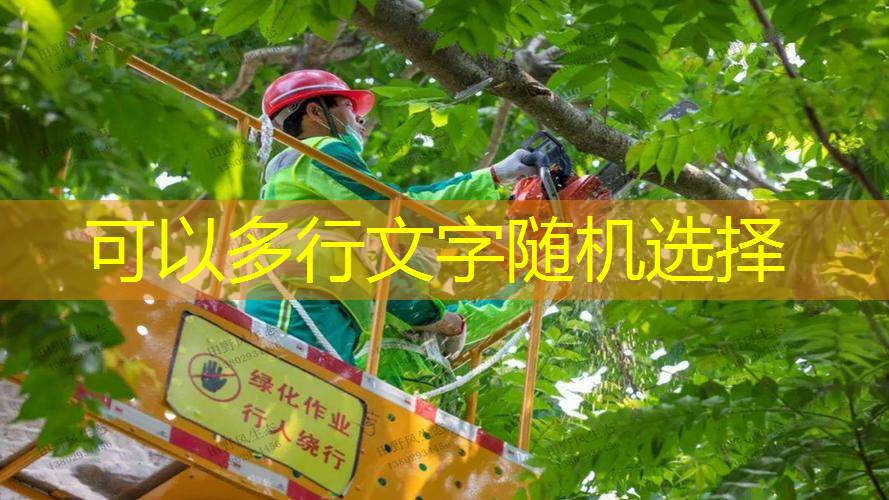 平时拿网球拍打球好吗_
