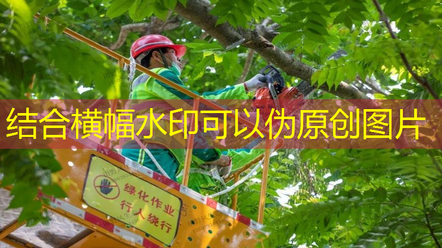 网球拍可以怎么玩游戏