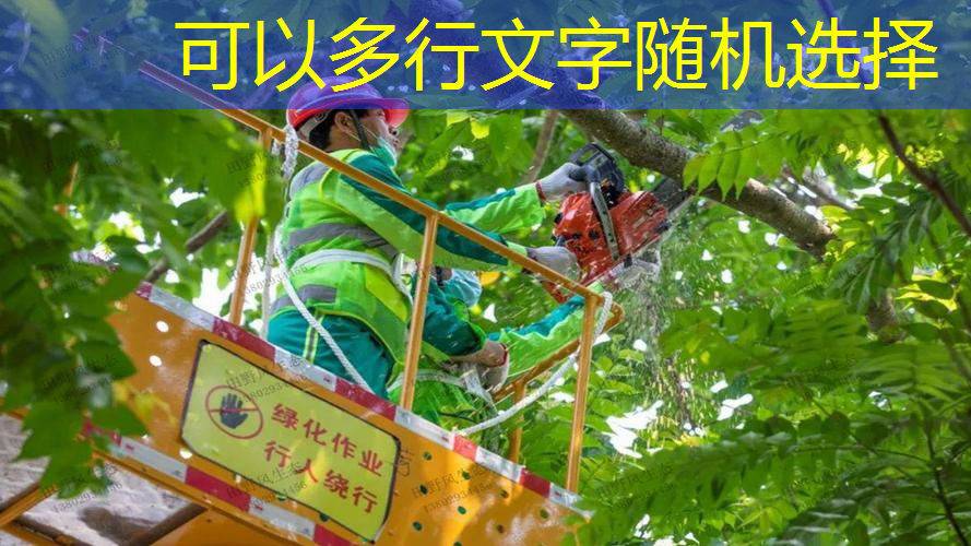 正规乒乓球台标准高度是