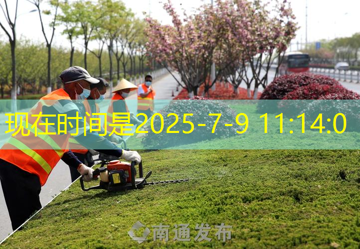 室内健身动作无跳跃